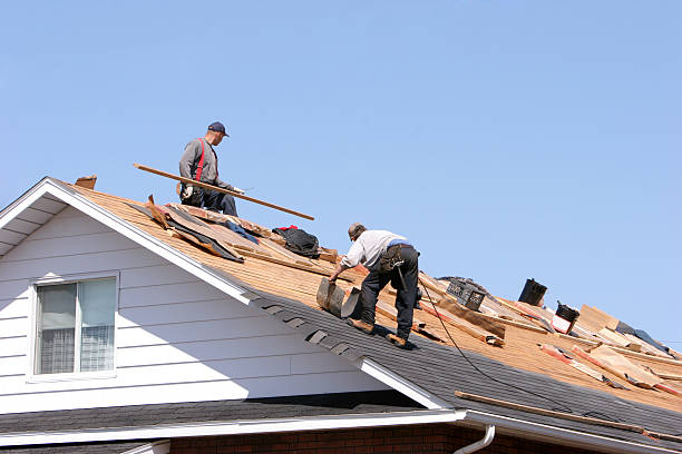 Best Roof Moss and Algae Removal  in Vail, CO
